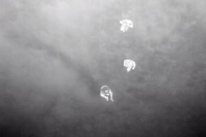 Thermal drone finds 88-year-old man and possibly saved his life