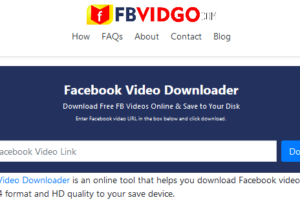 fbvidgo.com