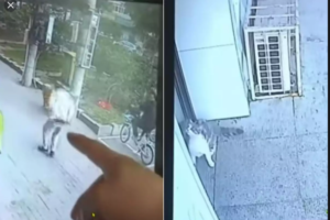 Aurangabad cops device corroborative evidence