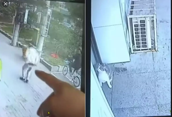 Aurangabad cops device corroborative evidence